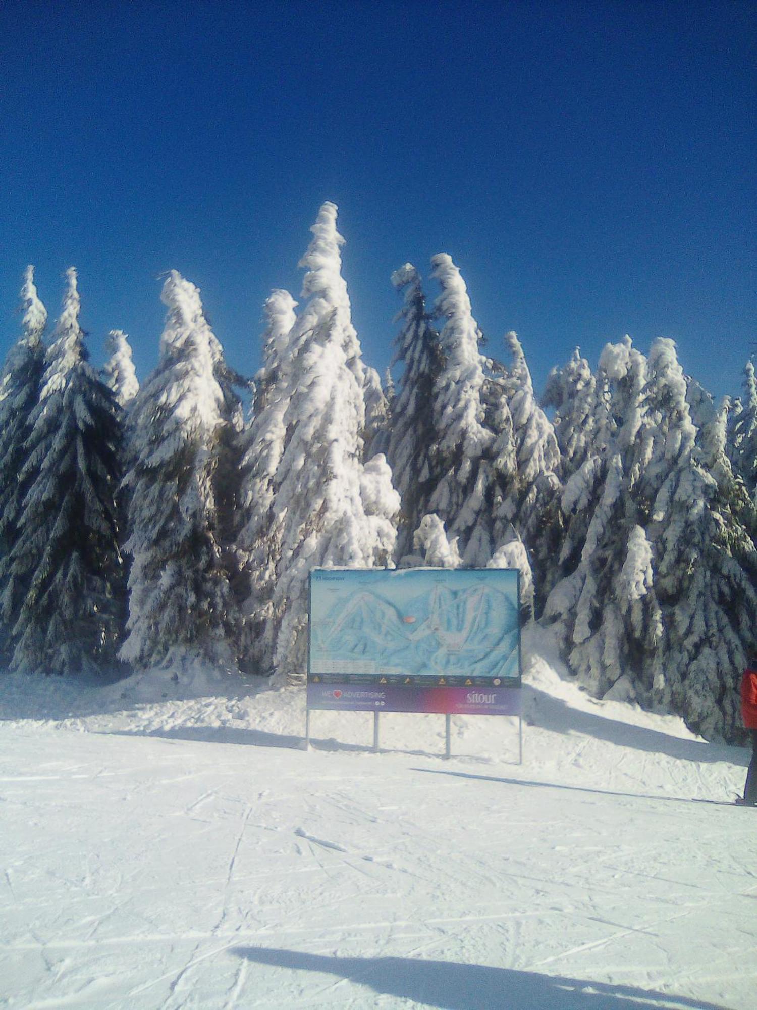 Apartman Leo Nr. 8 Lipno Nad Vltavou Lipno nad Vltavou Exterior foto