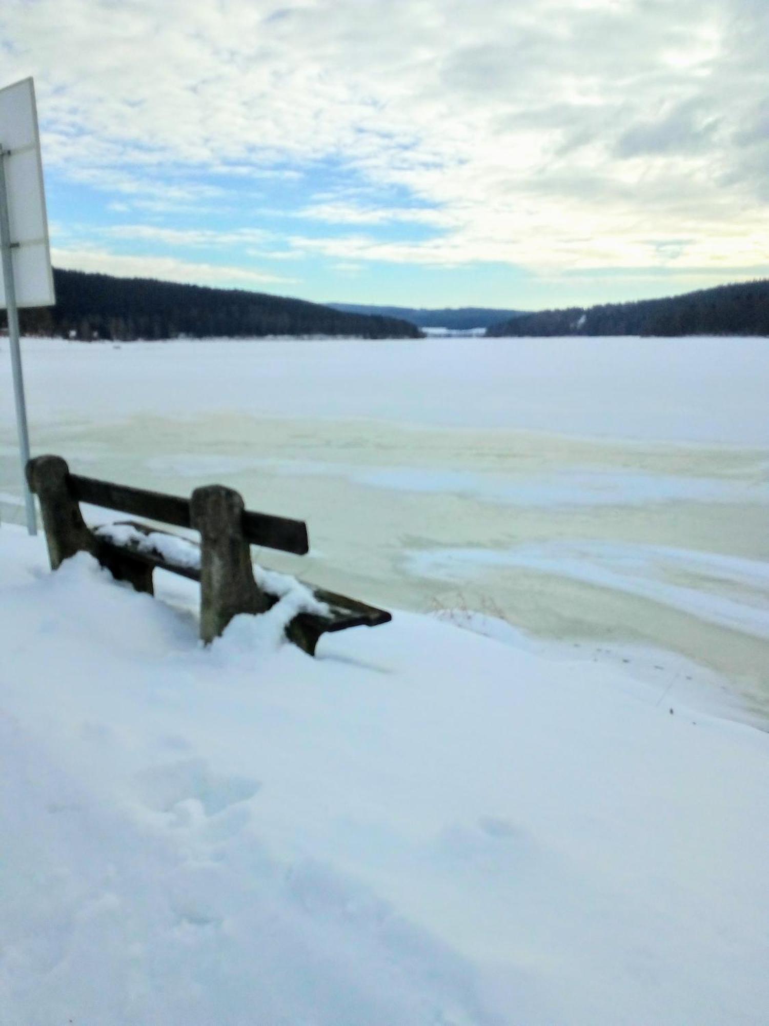 Apartman Leo Nr. 8 Lipno Nad Vltavou Lipno nad Vltavou Exterior foto